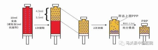 调整大小 3.jpg